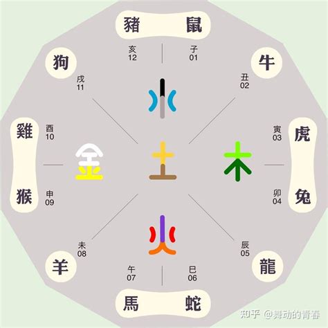 五行颜色生肖